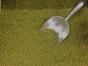 If I had a penny for every mung bean...