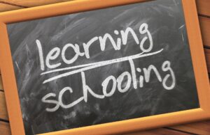 EI and a Growth Mindset: Learning Over Schooling